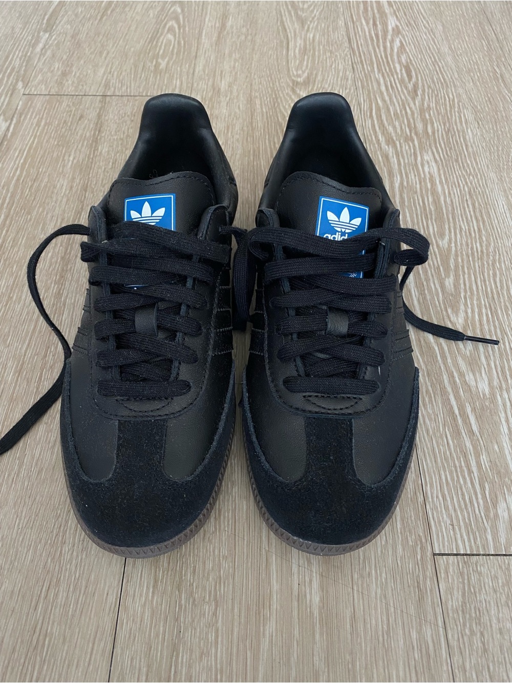 adidas Black Low-Top Sneakers with Blue Trefoil